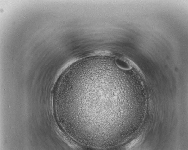 X0000060771035200511171208