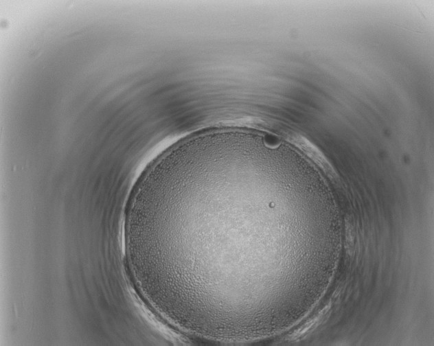 X0000060771036200511171208