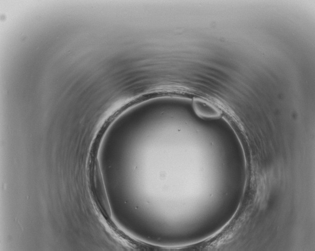 X0000060771037200511171208