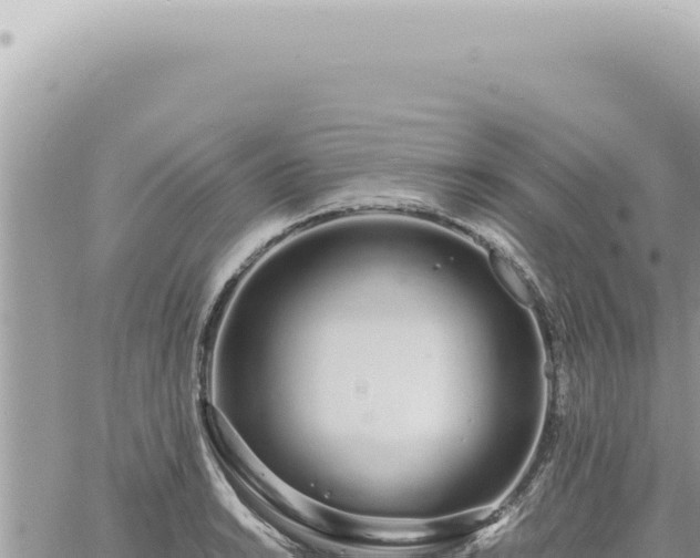 X0000060771038200511171208