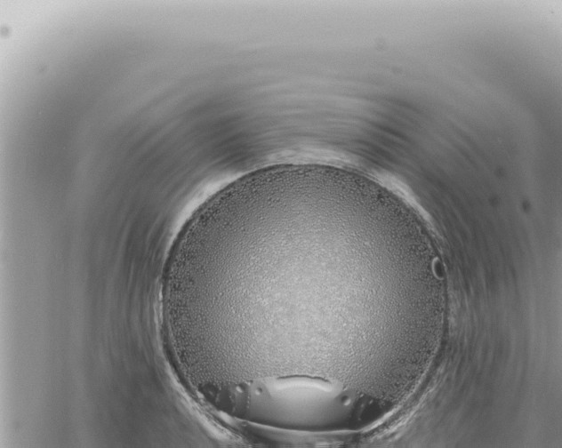 X0000060771040200511171208