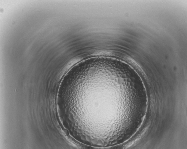 X0000060771041200511171208