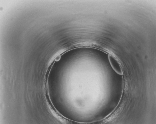 X0000060771042200511171208