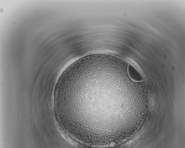 X0000060771044200511171208