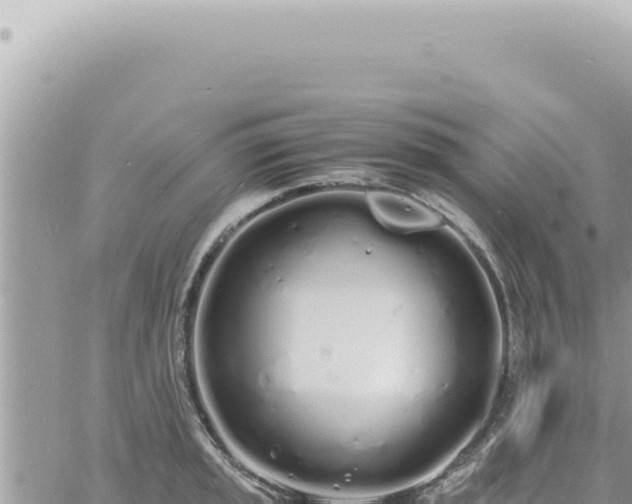 X0000060771045200511171208