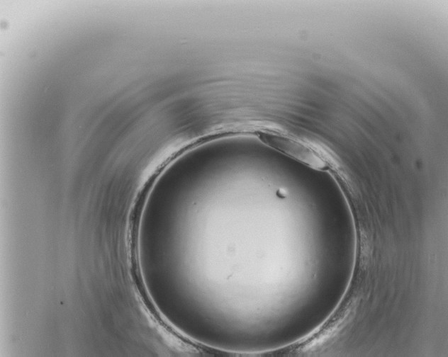 X0000060771046200511171208