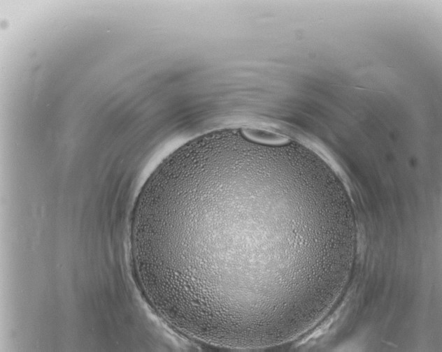 X0000060771048200511171208