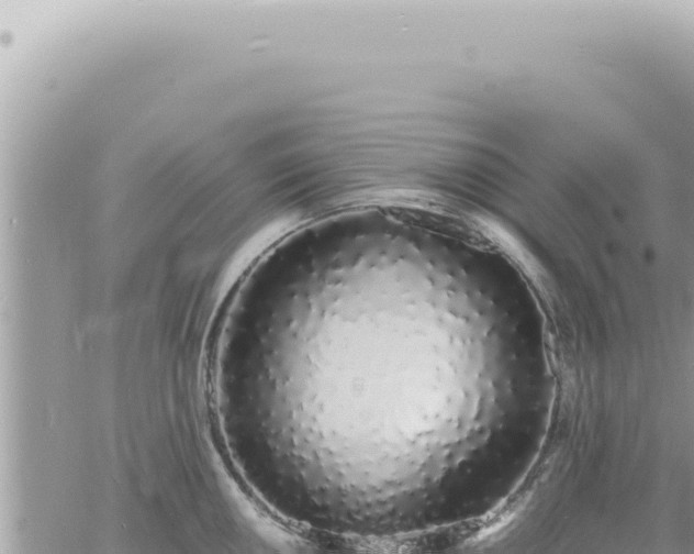 X0000060771050200511171208