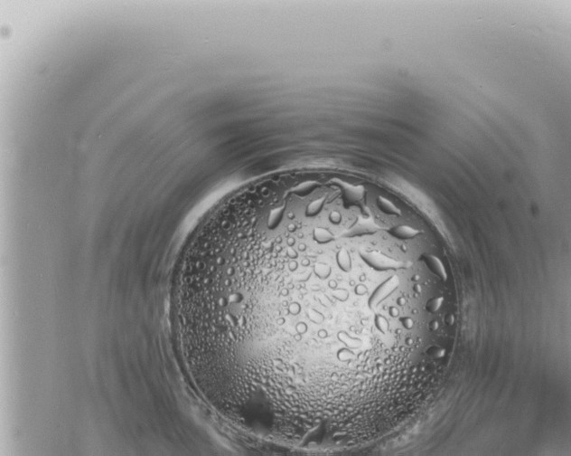 X0000060771051200511171208