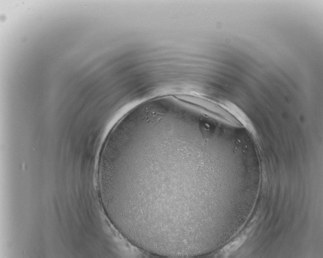 X0000060771052200511171208