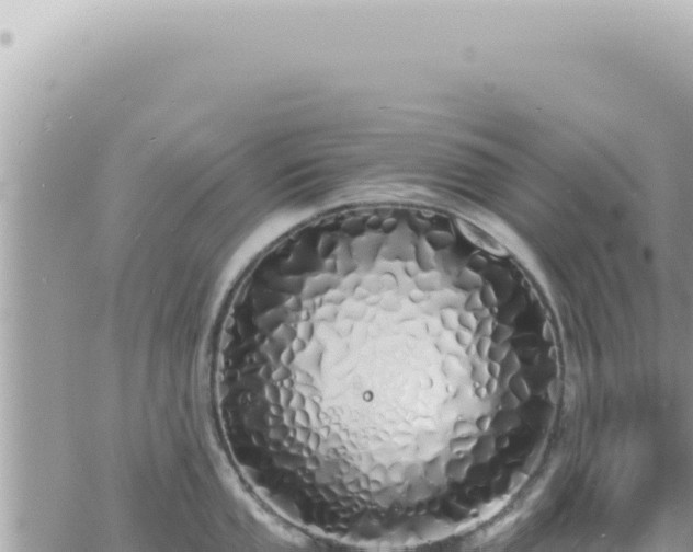 X0000060771053200511171208