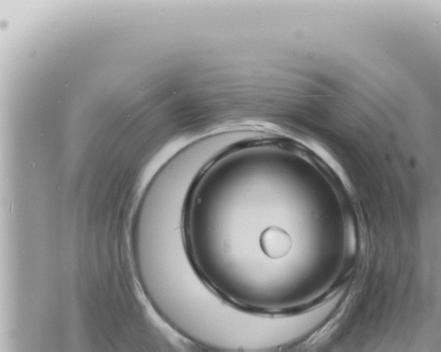 X0000060771054200511171208