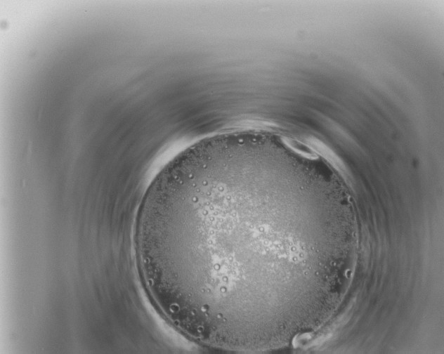 X0000060771055200511171208