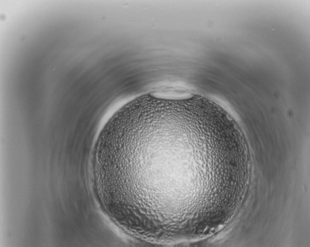 X0000060771056200511171208