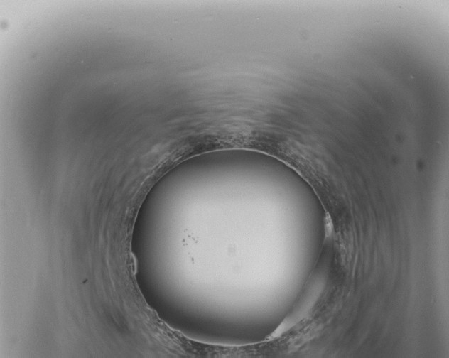 X0000060771057200511171207