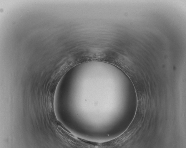 X0000060771058200511171207