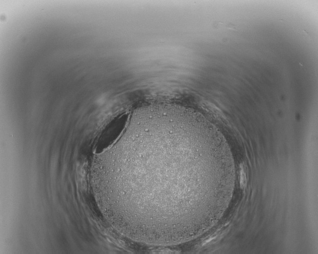 X0000060771059200511171207