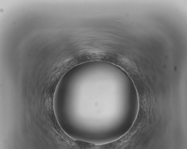 X0000060771061200511171207