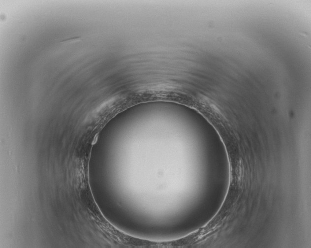 X0000060771062200511171207