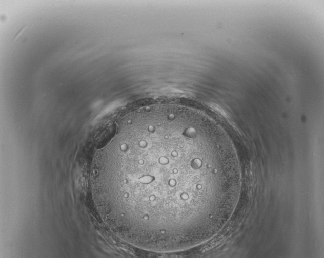 X0000060771063200511171207