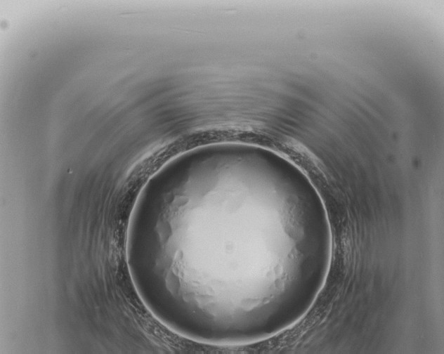 X0000060771064200511171207