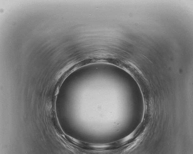 X0000060771065200511171207