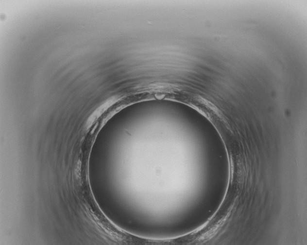 X0000060771066200511171207