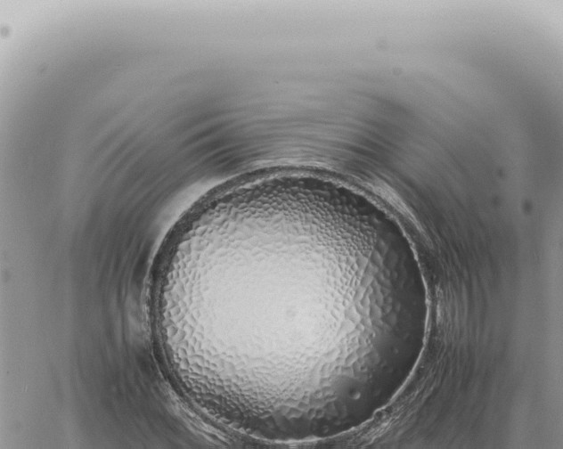 X0000060771068200511171207