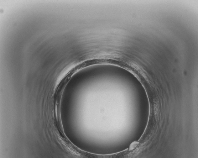 X0000060771069200511171207