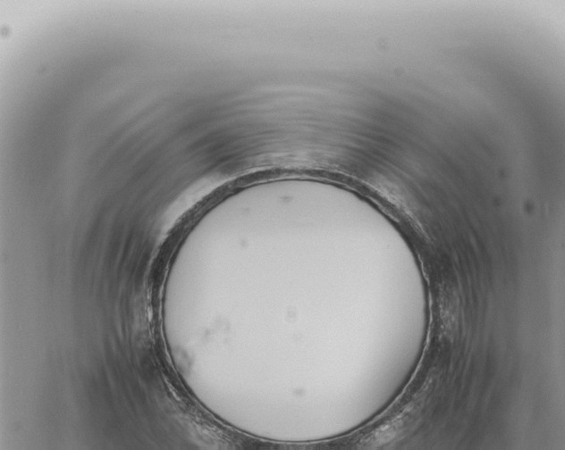 X0000060771070200511171207