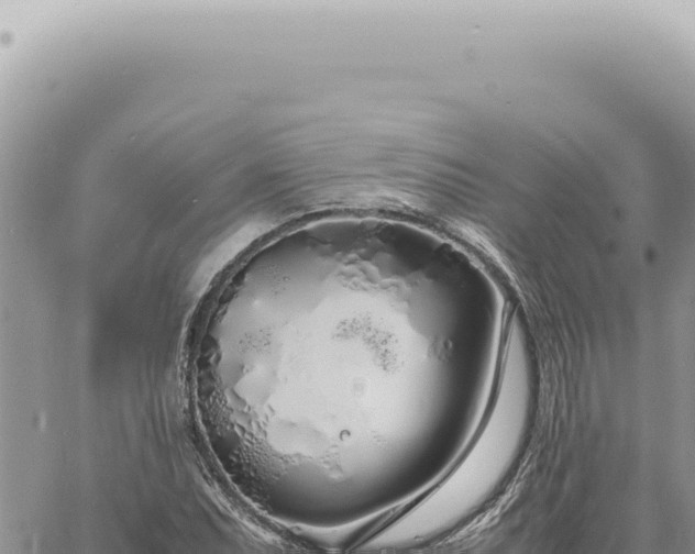 X0000060771071200511171207