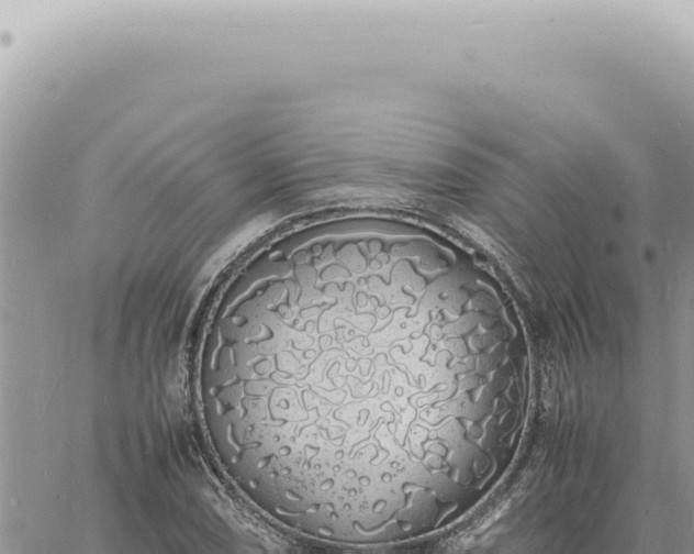 X0000060771074200511171207