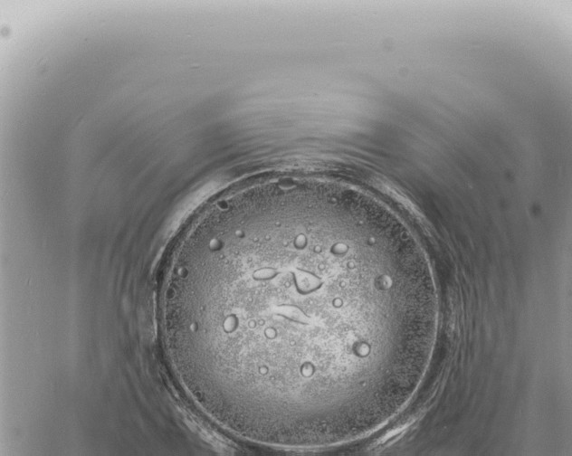 X0000060771075200511171207