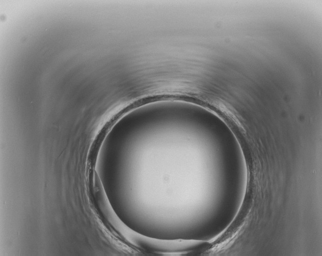 X0000060771077200511171207