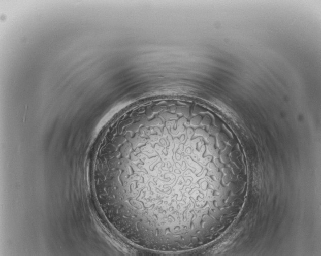 X0000060771078200511171207