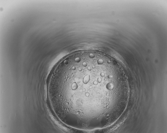 X0000060771079200511171207