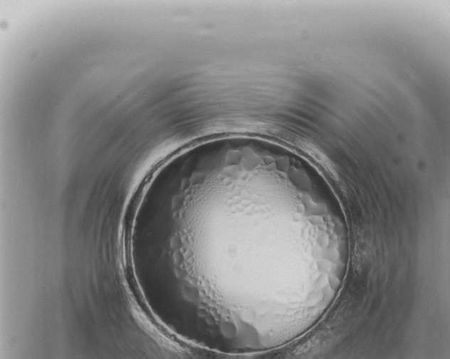 X0000060771080200511171207