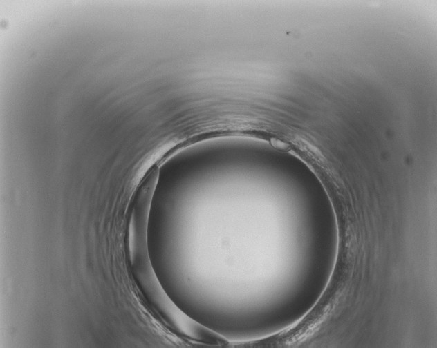 X0000060771081200511171207