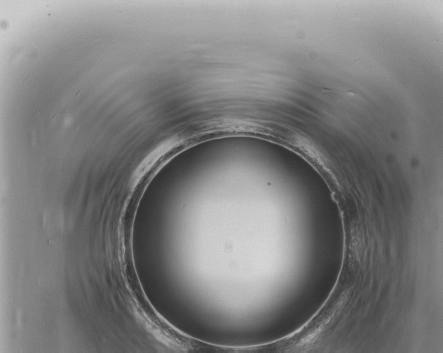 X0000060771082200511171207