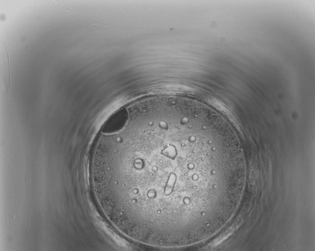 X0000060771083200511171207