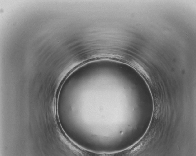 X0000060771084200511171207