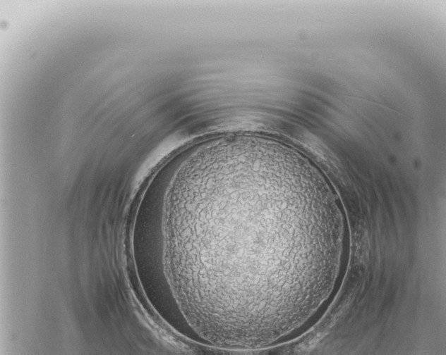 X0000060771086200511171207