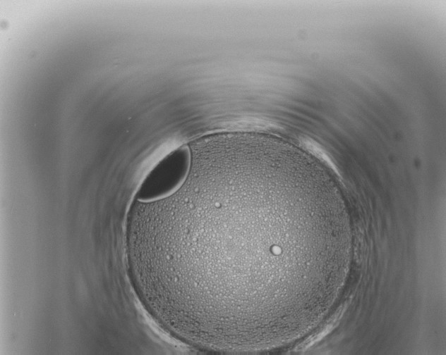 X0000060771087200511171207