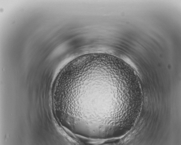 X0000060771088200511171207