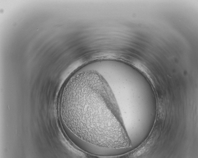 X0000060771090200511171207