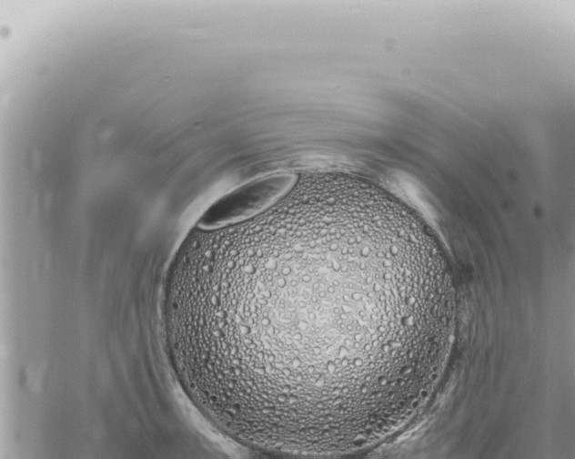 X0000060771091200511171207