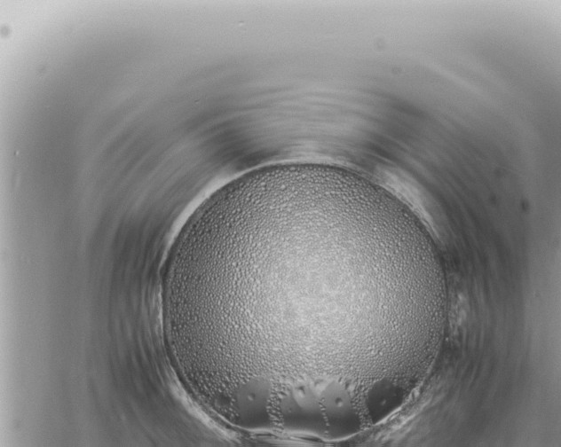 X0000060771092200511171207