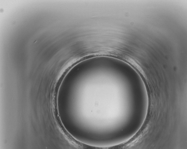 X0000060771093200511171207