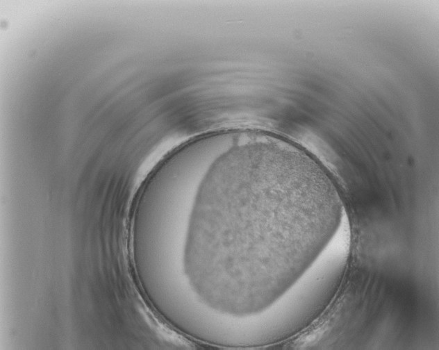 X0000060771094200511171207