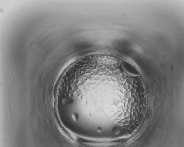 X0000060771095200511171207